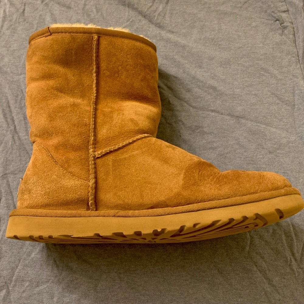 classic short II Ugg’s in chestnut!